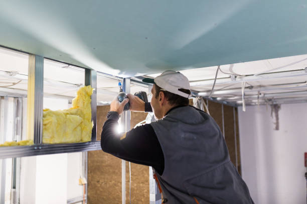 Best Insulation Maintenance and Repair in Osceola, WI