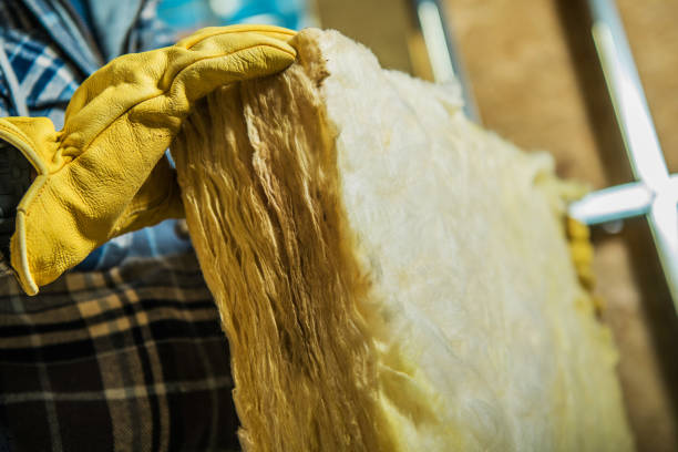 Best Insulation Maintenance and Repair in Osceola, WI