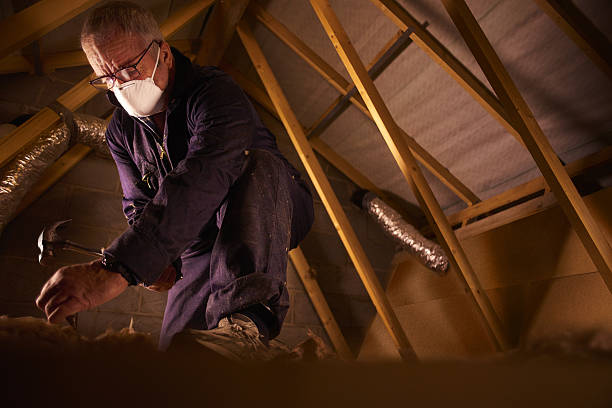 Best Types of Insulation in Osceola, WI